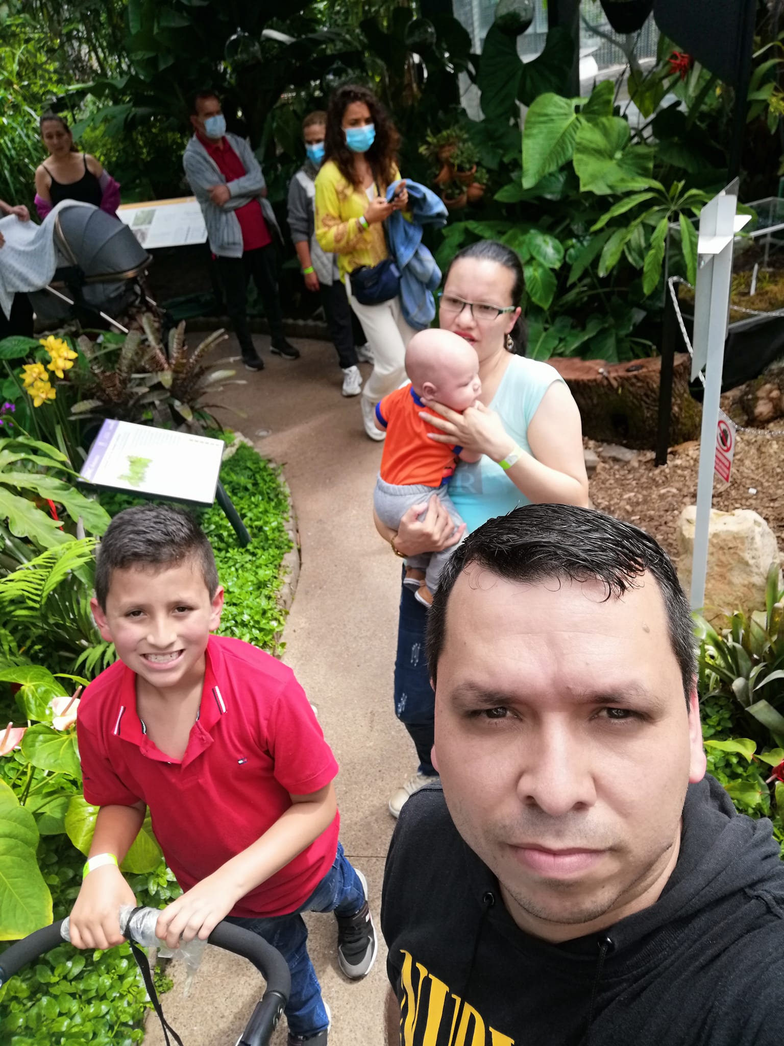 familia 6